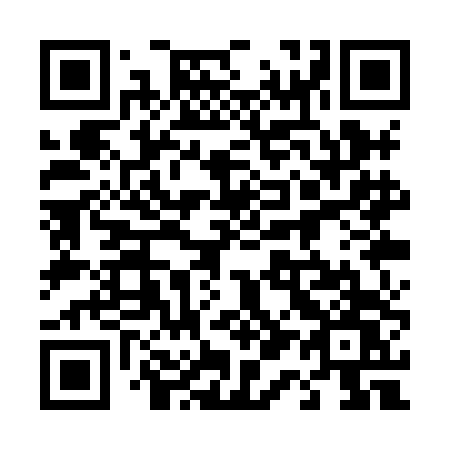 QR code for 411 XDW