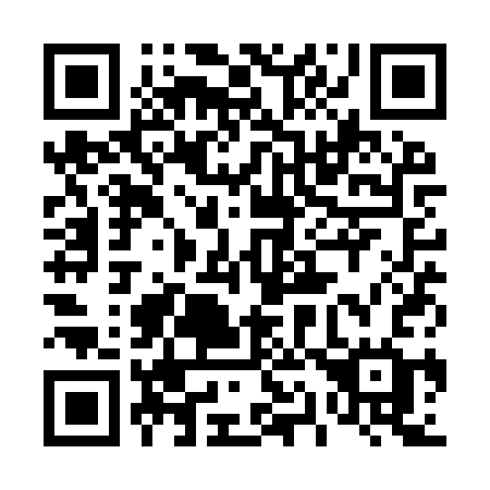 QR code for 411 YSG