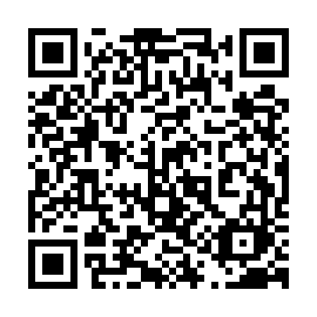 QR code for 411EVM