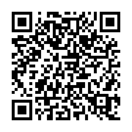QR code for 411MGB