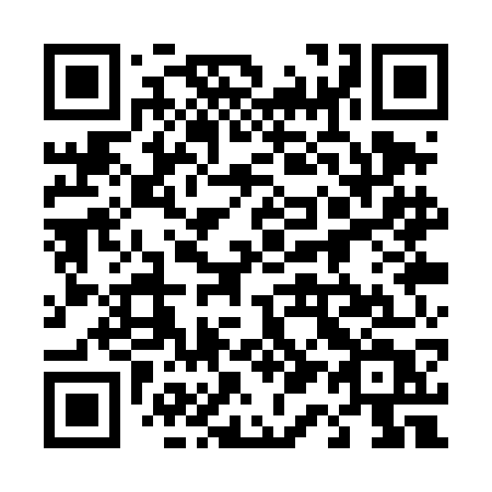 QR code for plate 411 TGT