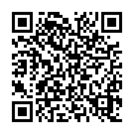 QR code for 413 DIZ