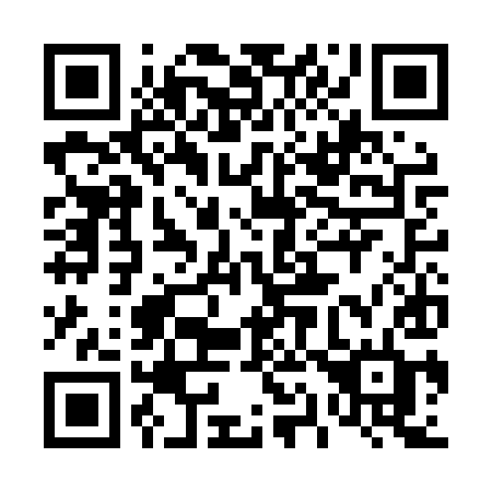 QR code for plate 413 LYD