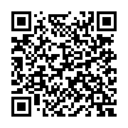 QR code for plate 417 LJE