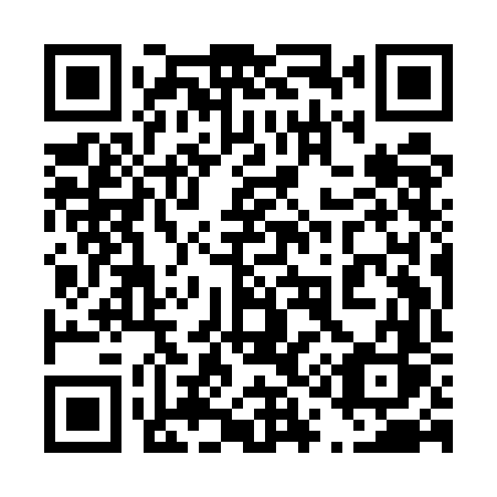 QR code for 419EFS
