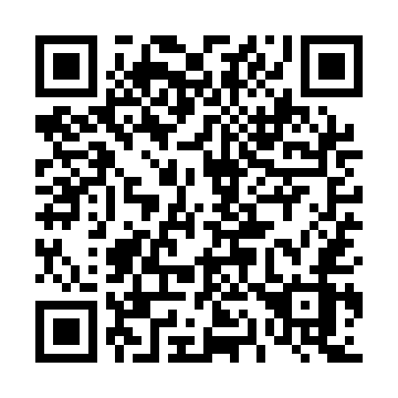 QR code for plate 419 QEZ