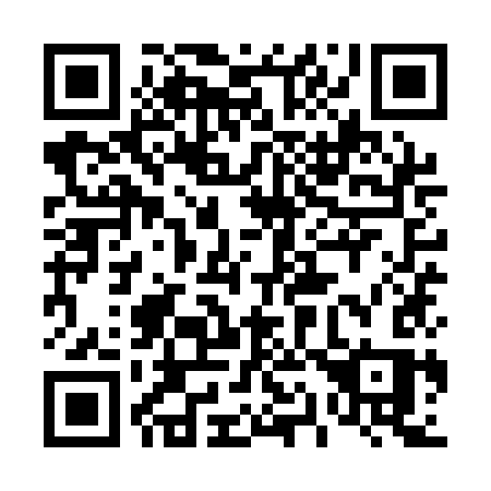 QR code for plate 419 QKS