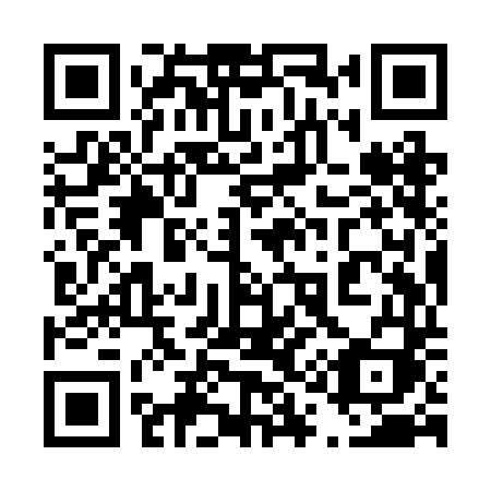 QR code for plate 419 RDI