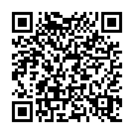 QR code for plate 419 UAT