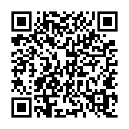 QR code for plate 419 VMM