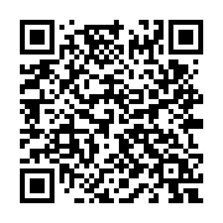 QR code for plate 419 VZT