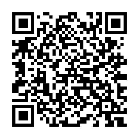 QR code for 425 VIE
