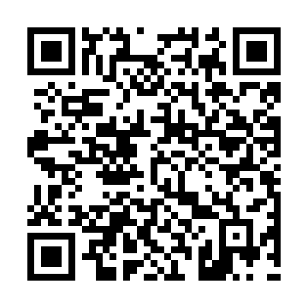 QR code for 425NSF