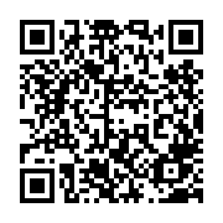 QR code for plate 433 TLV