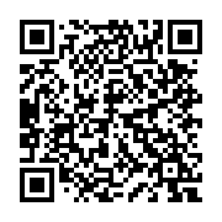 QR code for plate 438 DVM