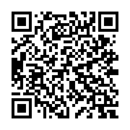 QR code for 439 VEH