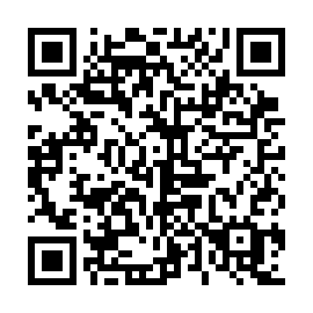 QR code for 441 CCG