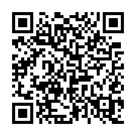 QR code for 441 GUI