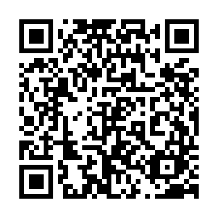 QR code for 449 MDM