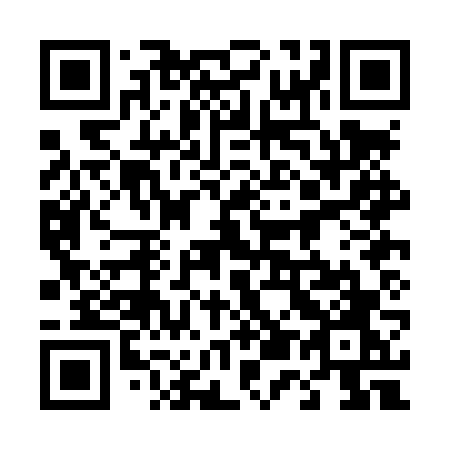 QR code for plate 450 LVO