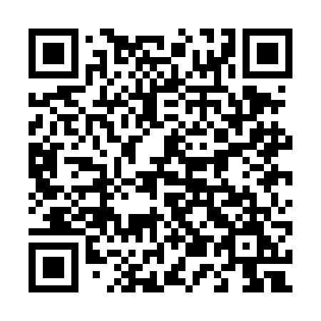 QR code for 451 DFM