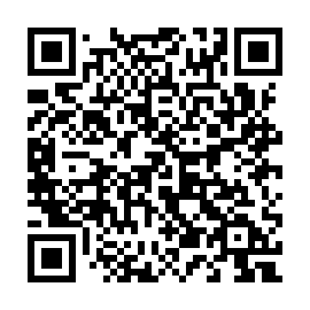 QR code for 451 IQD