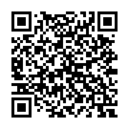 QR code for plate 451 TZK