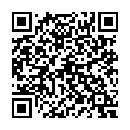 QR code for plate 453 MCI