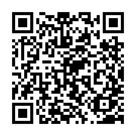 QR code for plate 453 SLQ