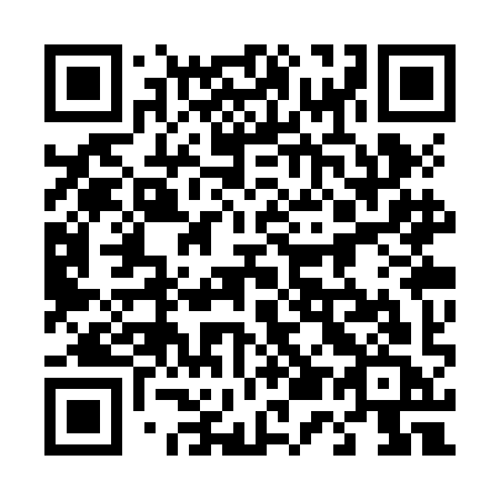 QR code for 453ZIC