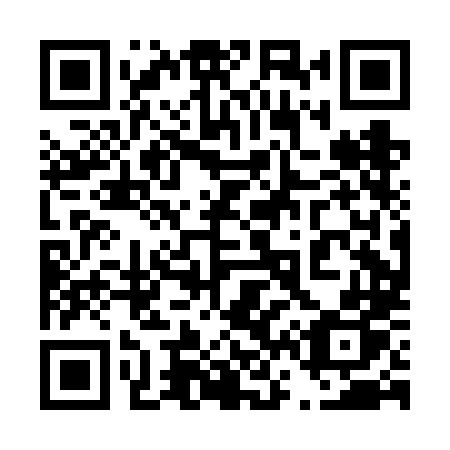 QR code for 460 FLP