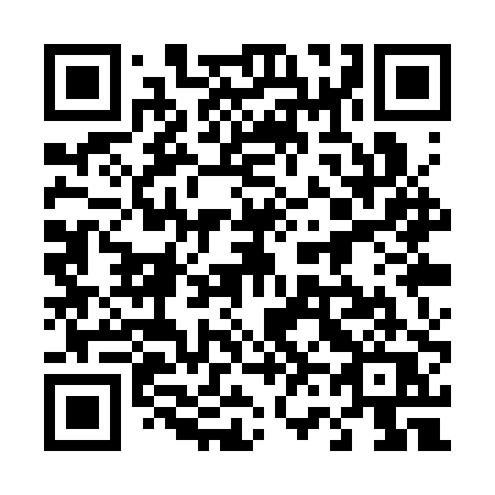 QR code for 461 SPQ