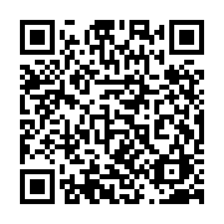 QR code for plate 461 HSC