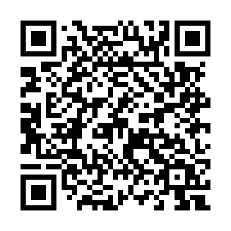 QR code for 461MZT