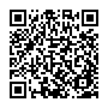 QR code for 462 MNG