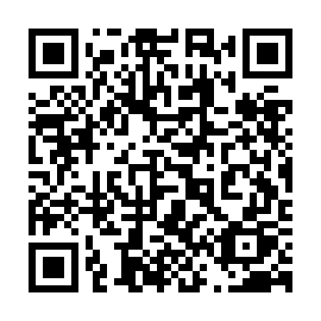 QR code for 463 JGP