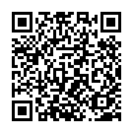 QR code for 463 PHQ