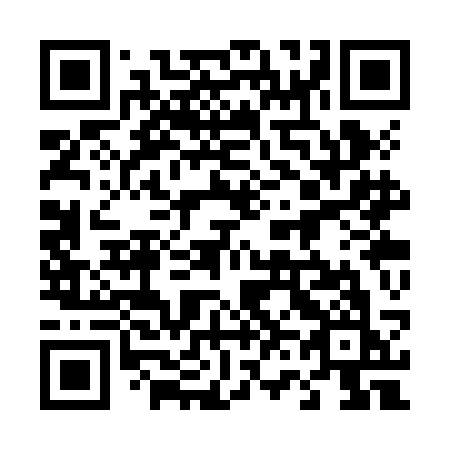 QR code for 463 ZCK