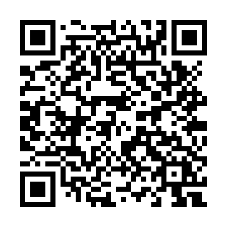 QR code for 463 ZTX