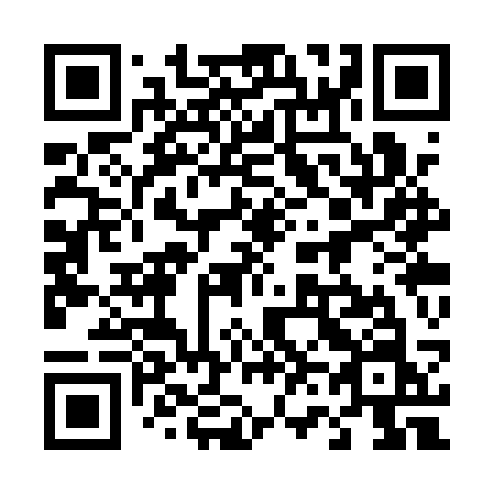 QR code for plate 463 QSN