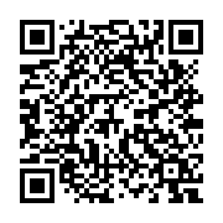 QR code for plate 463 ZWV