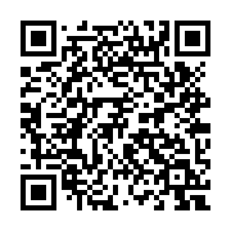 QR code for 463ZYL