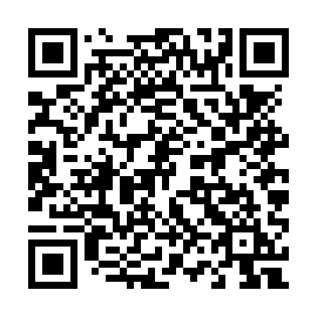 QR code for 466 NQI