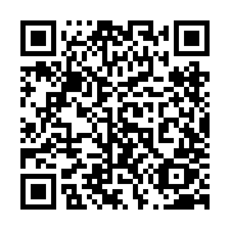 QR code for plate 476 RMZ