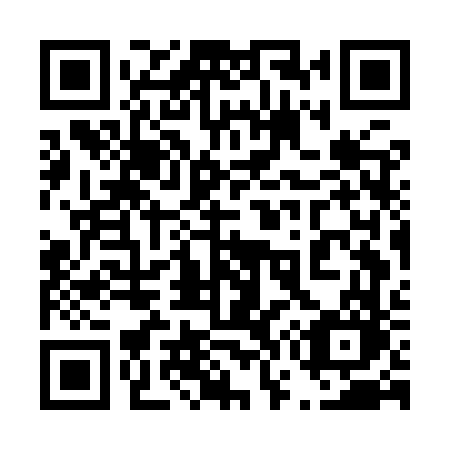 QR code for plate 477 IVO