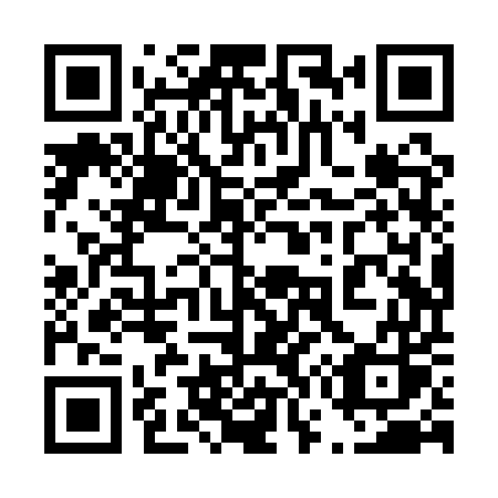 QR code for plate 478 QUS
