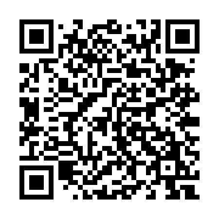 QR code for plate 485 TEO