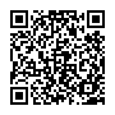 QR code for plate 485 THL