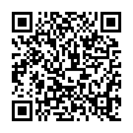QR code for plate 486 ZWO