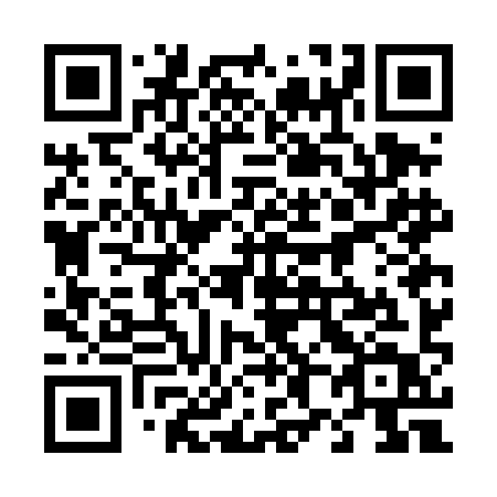 QR code for plate 487 DIT
